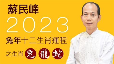 2023虎年佩戴飾物|蘇民峰2023十二生肖兔年增運方法｜加強財運、人緣 